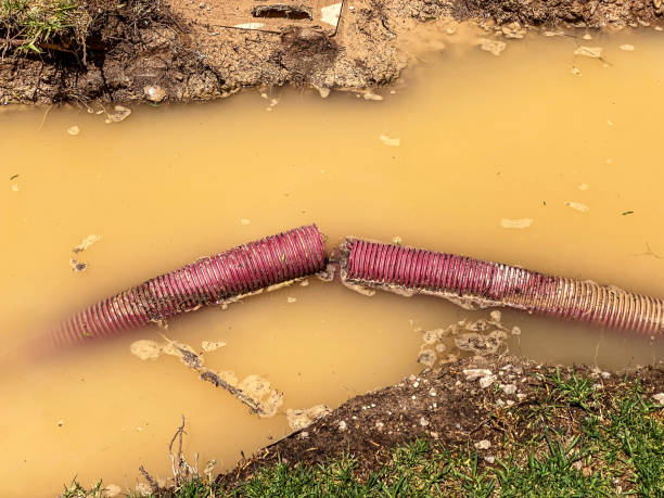 Best Basement water damage restoration  in Spiro, OK